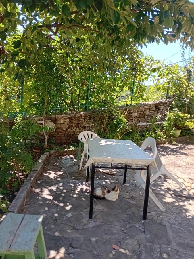 Stone Pazar Guest House Gjirokastër Buitenkant foto